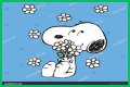Be snoopy