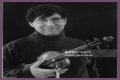David Shapiro (musician)