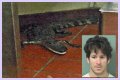 Florida Man Throws Crocodile In Drive Thru