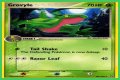 Grovyle (EX Emerald 28) - Bulbapedia, the community-driven Pokémon encyclopedia
