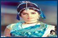 Rajshree Net Worth