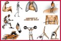 Single part of a gym exercise