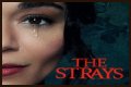 “The Strays” Is Set To Released On Netflix
