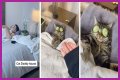 TikTok Is Obsessed With This Guy and His Cat Having a Relaxing Spa Day Together
